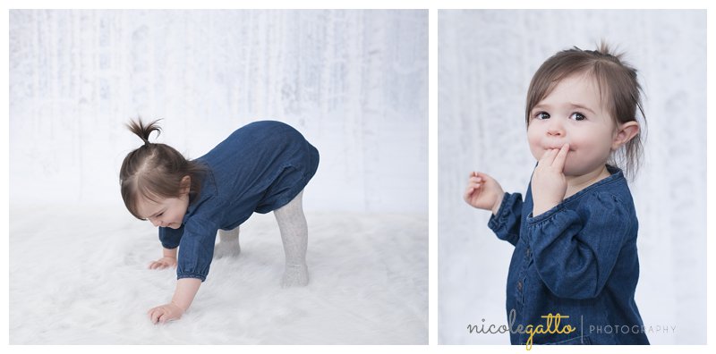 Lewiston Photographers_0003.jpg Lewiston NY Photographers_0003.jpg