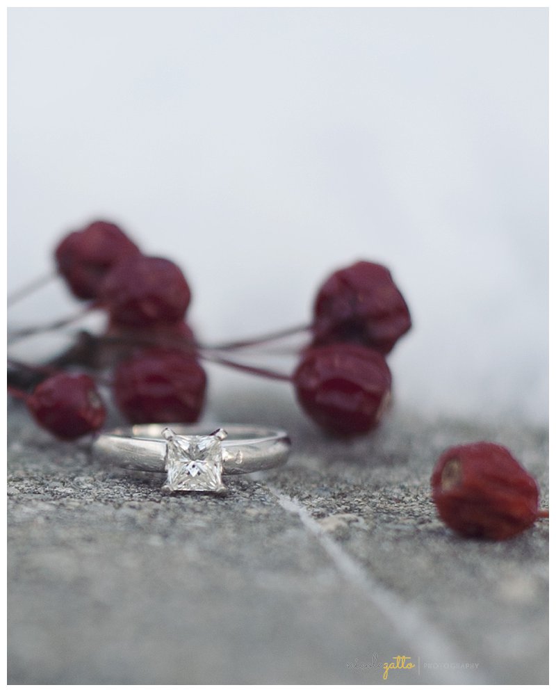 Buffalo Engagement Photography_0441.jpg Buffalo Engagement Photography