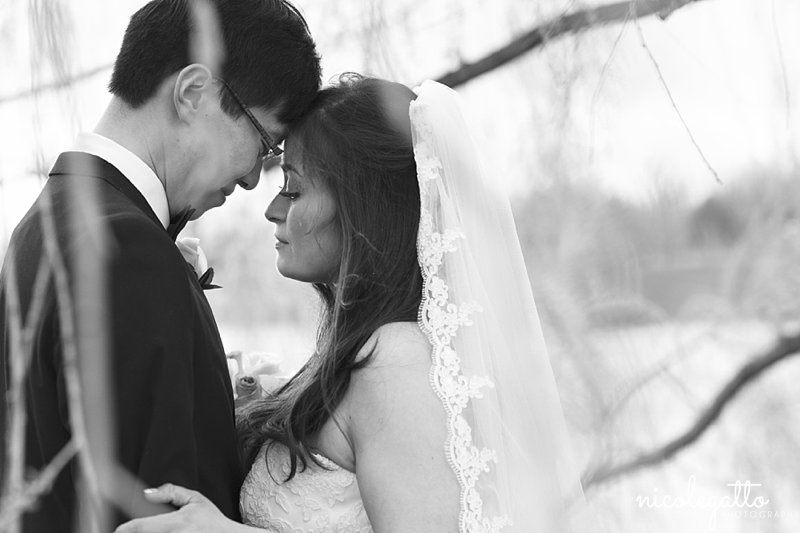 HoytLakeWeddingPhotography_0415.jpg HoytLakeWeddingPhotography_0415.jpg