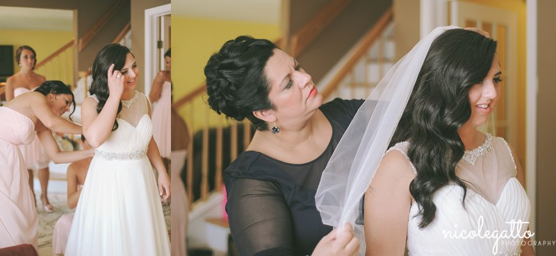 Buffalo_Botanical_Gardens_Wedding_Photography_0000.jpg Buffalo_Botanical_Gardens_Wedding_Photography_0000.jpg