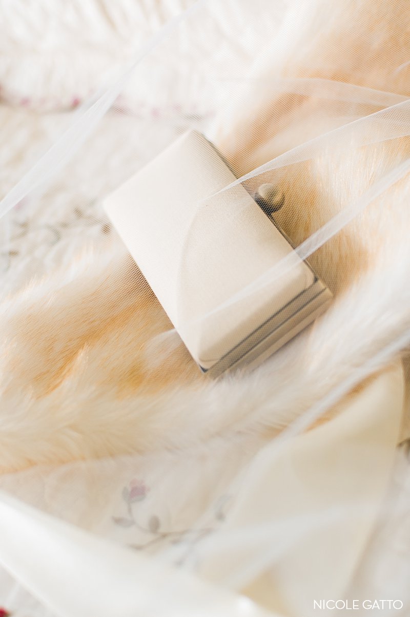 Bufffalo-wedding-photography_0046.jpg Bufffalo-wedding-photography_0046.jpg