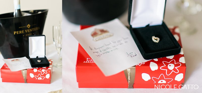 wedding_photographer_Buffalo_0039.jpg wedding_photographer_Buffalo_0039.jpg