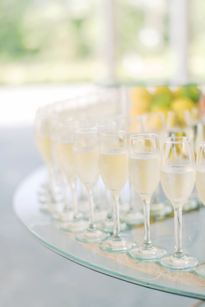 Buffalo Wedding Photographer